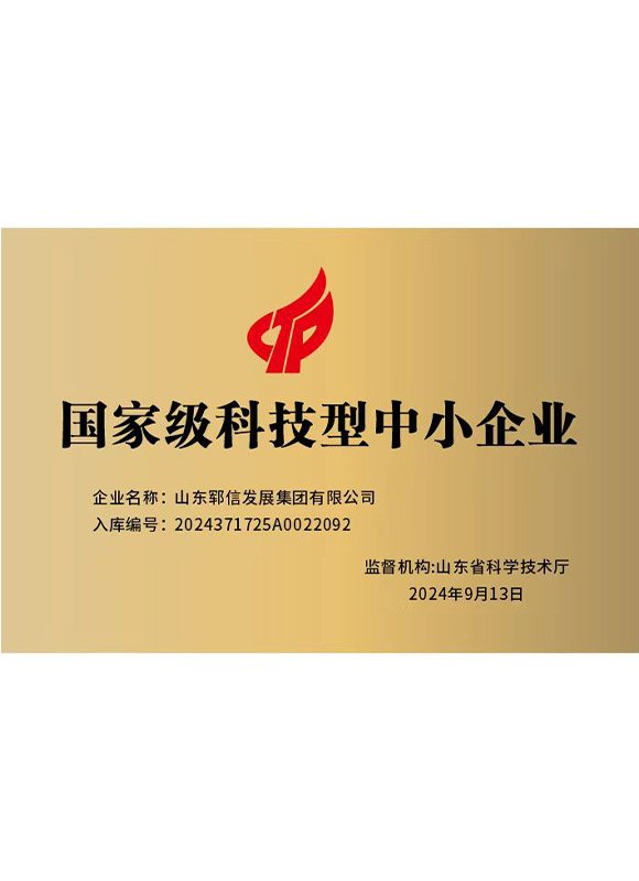 Certificate of National-Level Science and Technology-Based SME